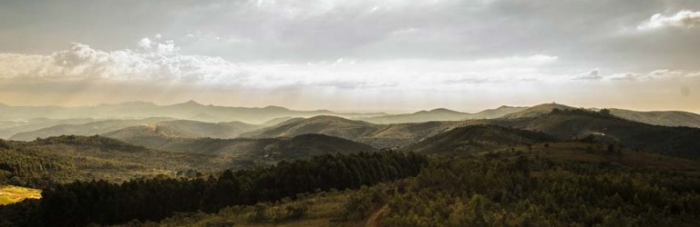 blog11